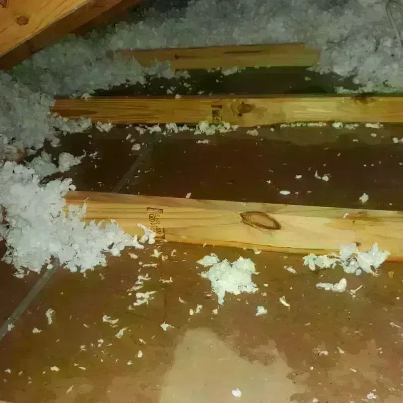 Attic Water Damage in Lynchburg, MS