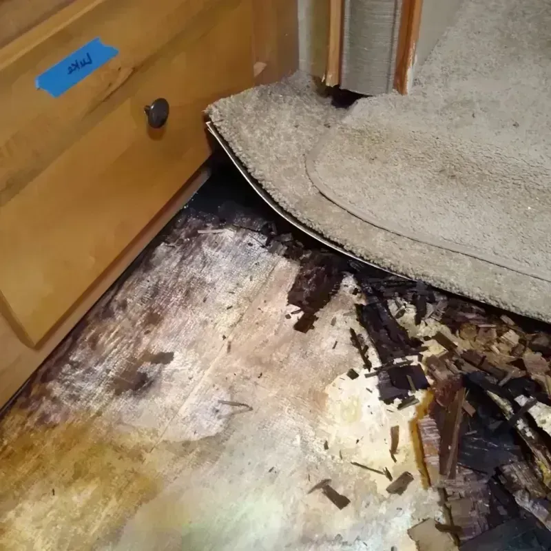 Wood Floor Water Damage in Lynchburg, MS